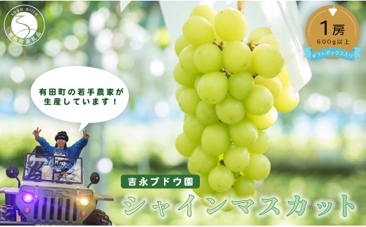 【2025年10月～発送】佐賀県 有田町産 農家直送 シャインマスカット 1房 ギフトボックス入り 【吉永ぶどう園】贈答 プレゼント 果物 ふどう 葡萄 シャインマスカット 15000円 F15-24