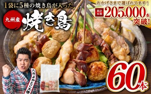 人気の5種類(5本）を1パックにして計12パック(60本)でお届けします。