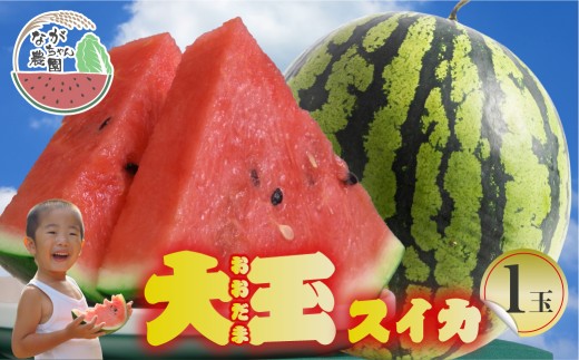 大玉スイカ