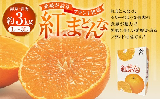 「愛媛が誇るブランド柑橘」 紅まどんな 先行予約 数量限定 約3kg