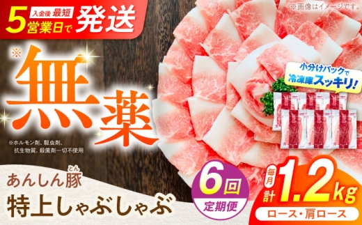 6回 定期便 あんしん豚 特上しゃぶしゃぶ セット 豚肉 ロース 国産 白川町 豚しゃぶ サラダ