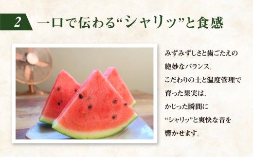 大玉スイカ