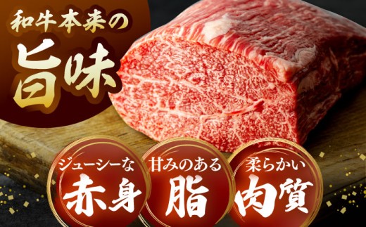シャトーブリアン 焼肉 肉 しまね和牛  肉 牛肉 黒毛和牛 国産
