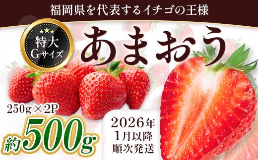 福岡県産 あまおう 約500g前後（約250g×2）1月～3月発送 3KC2 2272857 - 福岡県赤村
