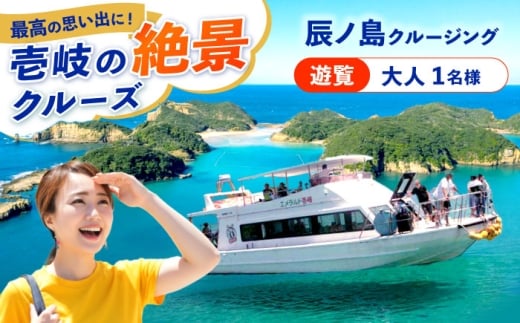 辰ノ島クルージング(辰ノ島遊覧)大人1名様分《壱岐市》【勝本町漁業協同組合】 [JFN002]