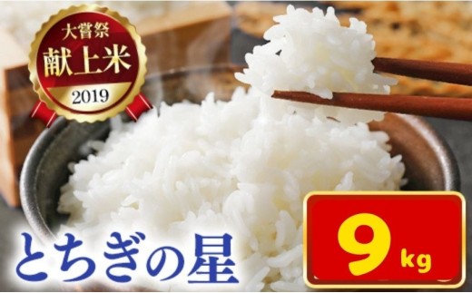 令和7年新米 石井米（とちぎの星） 9kg | ふるさと納税 とちぎの星 那珂川町産 美味しい お弁当 おにぎり おいしい 数量限定 ご飯 送料無料 栃木県 那珂川町