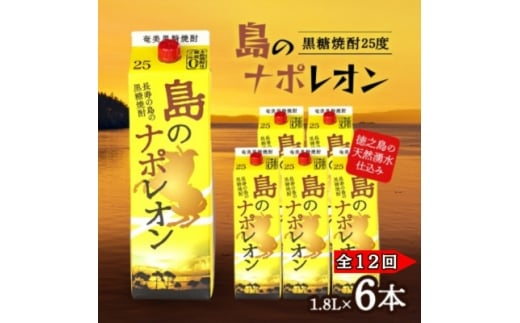 ＜毎月定期便＞奄美黒糖焼酎 島のナポレオン 1,800ml 紙パック 6本セット全12回【4074156】
