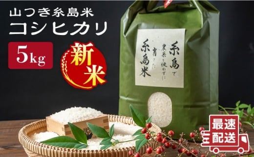 【令和7年産新米】糸島 で 農薬 を使わずに育てた 山つき 糸島米 5kg （ コシヒカリ ）《 糸島 》【株式会社やました】 [ARJ015] 408177 - 福岡県糸島市