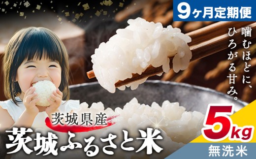 米 茨城 ふるさと米 無洗米 5kg 5kg×1袋 9回お届け 定期便《お申し込み月の翌々月から出荷開始》茨城県 結城市 米 国産 お米 おこめ お弁当 おにぎり【茨城県共通返礼品】 2301232 - 茨城県結城市