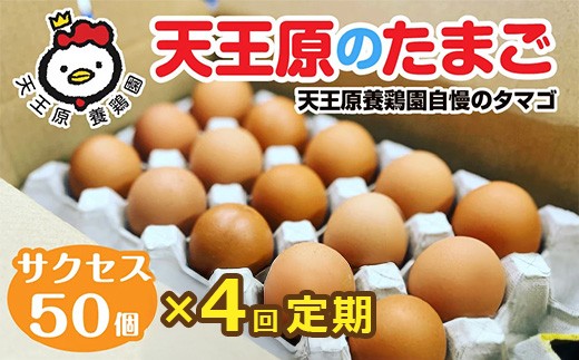 【定期便】4回定期 【天王原のたまご】 サクセス卵 50個入り 【定期便 4回定期便 セット たまご 卵 玉子 タマゴ 濃厚  ハリ 弾力 ボリューム 甘味 旨味 卵黄 風味 生 コク 甘味 卵かけご飯 卵焼き 目玉焼き オムレツ 茶碗蒸し お菓子作り パンの材料】
