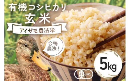 [令和7年産]有機 コシヒカリ 玄米 5kg 有機栽培 有機米 特別栽培米 合鴨農法 こしひかり お米 米 おこめ ブランド米 こしひかり 5キロ 国産 単一原料米 コメ こめ ご飯 銘柄米 茨城県産 茨城 産直 産地直送 農家直送 ごはん 家庭用 贈答用 茨城県 石岡市 (B03-003)
