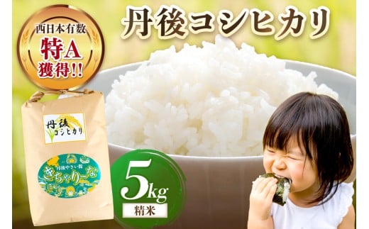 直売所直送「令和7年産　京丹後市産　コシヒカリ」　精米5kg　こめ ふるさと納税 コシヒカリ 精米 ふるさと納税 米 精米 白米 2025 年 京都産 送料無料 生産者応援 農家応援 送料無料　JA00071