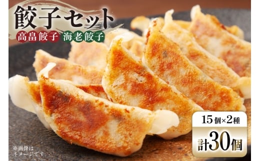 餃子 セット 高畠餃子 海老餃子 各15個 計30個 [後藤屋 山形県 高畠町 tk06ays690004] ぎょうざ ギョウザ