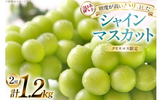 【クリスマスまでの限定発送】 シャインマスカット 訳あり 2房 1.2kg [田制農園 山形県 高畠町 tk06ayt230000] ぶどう ブドウ 葡萄 マスカット フルーツ 果物 くだもの 産地直送 農家直送