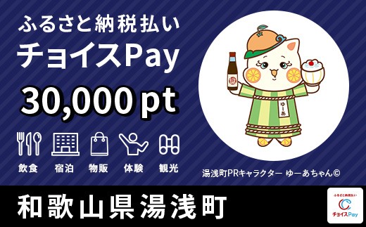 宿泊・食事・買物・品交換などに使える！湯浅町 チョイスPay 30,000ポイント