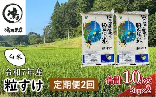 令和7年産 粒すけ 定期便2か月　白米　10kg お米  [№5346-0612]