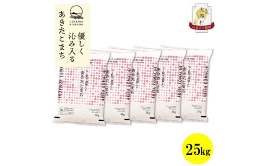 ＜毎月定期便＞秋田県産あきたこまち無洗米25kg(5kg×5)全6回【4073085】 2288870 - 秋田県大潟村