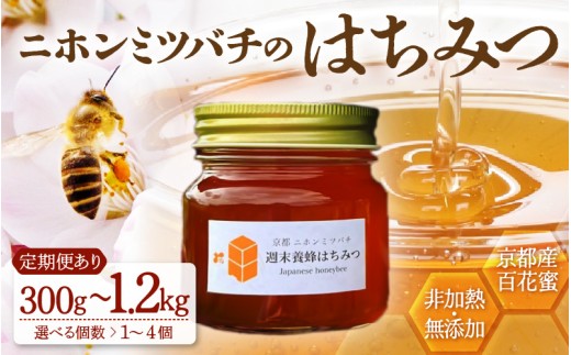 ニホンミツバチのはちみつ 選べる容量・回数 300g×1〜4本 定期便3〜12回 | 京都産 非加熱 国産 百花蜜 自然のままの純粋蜂蜜 はちみつ ハチミツ 蜂蜜 ハニー 瓶詰 (週末養蜂)