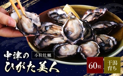 【期間限定】ひがた美人 (牡蠣 60粒) 堪能セット | 養殖 冷蔵 かき オイスター 酒の肴 つまみ おかず 大分県産 九州産 国産 大分県 中津市