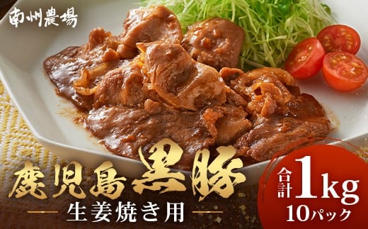鹿児島県産 黒豚生姜焼きセット 100g×10パック 味付き肉 冷凍 NS-23 | 鹿児島 黒豚 かごしま黒豚 お肉 肉 豚肉 しょうが焼き 焼くだけ 味付き おかず お弁当 加工肉 真空パック 鹿児島県 南大隅町 南州農場 2289846 - 鹿児島県南大隅町
