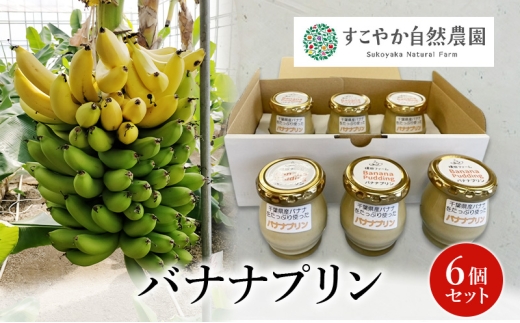 バナナプリン 6個セット プリン 国産バナナ スイーツ ギフト セット 千葉市 [№5346-1506]