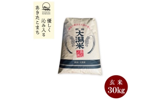 ＜毎月定期便＞秋田県産　あきたこまち1等　玄米30kg全6回【4073011】 2288865 - 秋田県大潟村