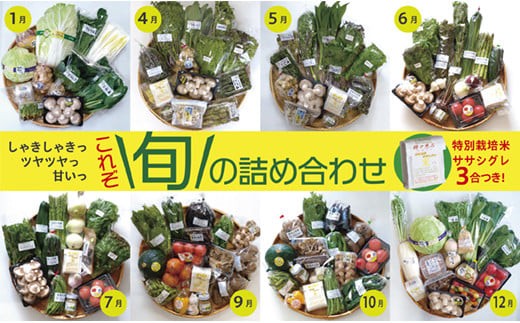 旬の詰め合わせセット