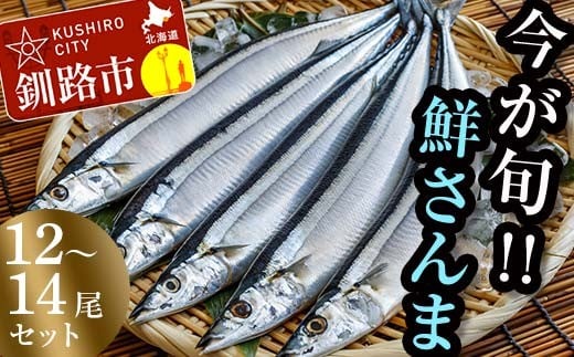 釧路産・鮮さんま2kg(12-14尾)特大 魚 魚介 海産物 干物 おかず 肴 さんま 秋刀魚 サンマ ふるさと納税 F4F-8607