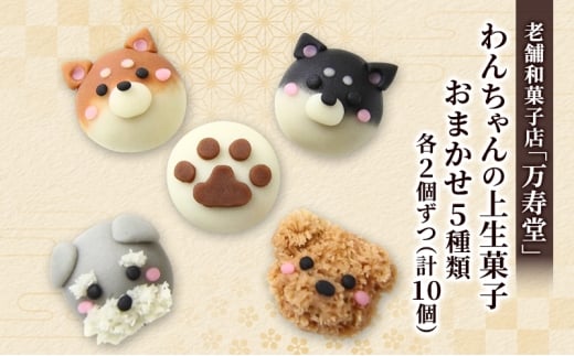 創業明治44年［菓子司 万寿堂］わんちゃんの上生菓子 おまかせ5種類 各2個ずつ（計10個）秋田 羽後 西馬音内 【菓子 和菓子 生菓子 上生菓子 スイーツ かわいい 高級 老舗 お取り寄せ ギフト】