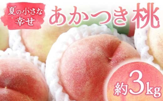 【2026年出荷分先行予約】福島県産 あかつき 約3kg (9～12玉) 福島の桃農家ペシェエラ 夏の小さな幸せ 伊達の桃 桃 フルーツ 果物 もも モモ momo F21C-067 1999722 - 福島県伊達市