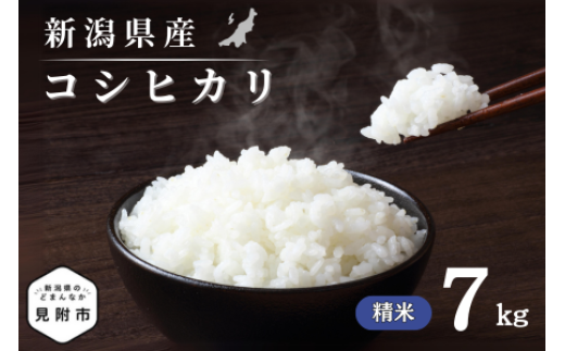 令和7年産 新潟県産 コシヒカリ 7kg 精米 新米 お米 白米 コシヒカリ こしひかり おすすめ 人気 こめ コメ 新潟 見附 見附市 7年 2025年産 ふるさと納税 諸長 1417641 - 新潟県見附市