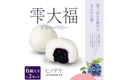 雫大福ブルーベリー6個入×2セット ※沖縄・離島への配送不可 2287076 - 福島県猪苗代町