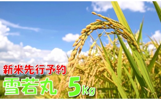 【令和７年産米 先行予約】雪若丸5kg　高橋