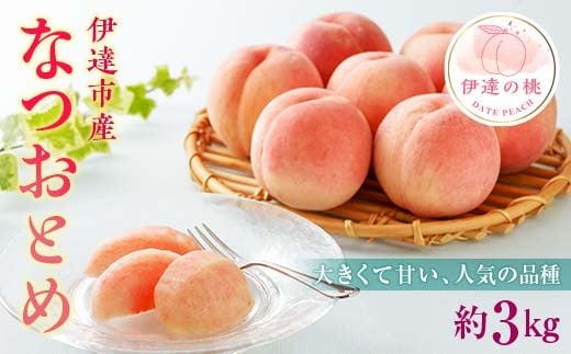 【2026年出荷分先行予約】福島県産 なつおとめ 約3kg (9～16玉) 有限会社伊達水蜜園 新品種 大玉 伊達の桃 桃 フルーツ 果物 もも モモ momo F20C-349 265381 - 福島県伊達市