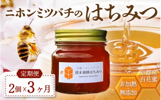 【定期便】 ニホンミツバチのはちみつ 600g×3回 | 京都産 非加熱 国産 百花蜜 自然のままの純粋蜂蜜 はちみつ ハチミツ 蜂蜜 ハニー 瓶詰 （週末養蜂） 毎月定期便 3回定期便 2287885 - 京都府綾部市
