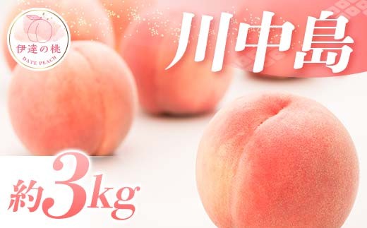 [2026年出荷分先行予約]福島県産 特秀 川中島白桃 約3kg (9〜12玉) ふくしま未来農業協同組合 特秀 透過式光センサー選別 白桃 大玉 伊達の桃 桃 フルーツ 果物 もも モモ momo F20C-778