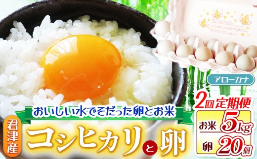 【 お米と卵の 定期便 2回 】 新米 令和7年産 コシヒカリ ( 5kg ) 精米 ＆ 青卵 アローカナ ( 20個 ) きれいな水で育てたシリーズ | 保坂農場 卵 たまご ちばエコ農産物 こしひかり 君津市産 たまかけ イチオシ 千葉 君津市 きみつ 房総 2290242 - 千葉県君津市