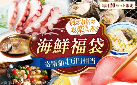 【何が届くかお楽しみ】旬の海の幸福袋 寄附額4万円相当 魚介類 海産物 海鮮 刺身 広島 海鮮 魚介類 冷凍 水産加工品 海藻 鮮魚 さかな 刺身 詰め合わせ セット 小分け 海鮮丼 加工品 惣菜 刺身 真空パック 小分け タコ たこ 蛸 はまち ハマチ 魬 しらす シラス 料理 和食 時短 便利 ギフト 広島県産 人気 送料無料 江田島市/七宝丸 [XBY007]