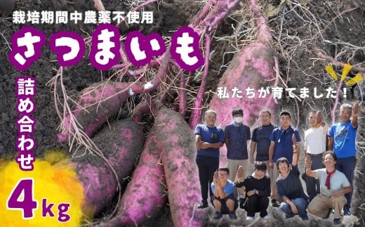 [数量限定50箱]さつまいも 詰め合わせ 4kg | 思いやり型返礼品 農福連携 さつまいも 紅はるか 生芋 栽培期間中農薬不使用 詰め合わせ 甘いさつまいも 焼き芋用 蒸し芋用 スイートポテト材料 お取り寄せ野菜 自然食品 国産さつまいも 産地直送 おうちごはん 季節の味覚 ホクホク食感 料理用さつまいも 天然スイーツ 野菜セット 埼玉県 東松山市
