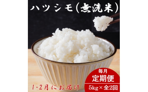 ＜発送月固定定期便＞生産者応援!＜先行予約＞岐阜県産ハツシモ(無洗米)5kg＜1・2月発送＞全2回【4073315】 2286811 - 岐阜県羽島市