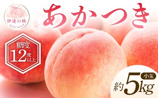 【2026年出荷分先行予約】福島県産 特秀 あかつき 約5kg (20～22玉) ふくしま未来農業協同組合 特秀 小玉 透過式光センサー選別 糖度12度以上 伊達の桃 桃 フルーツ 果物 もも モモ momo F20C-586 305802 - 福島県伊達市