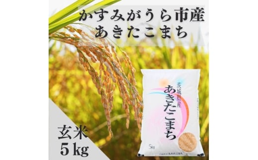 令和7年産かすみがうら市産あきたこまち  玄米  5kg【1666721】