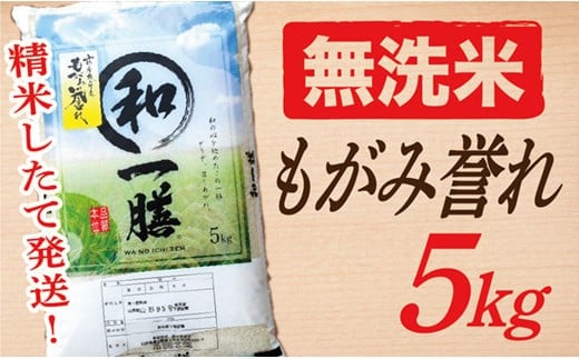 【令和7年産】【無洗米】山形県産もがみ誉れ5kg