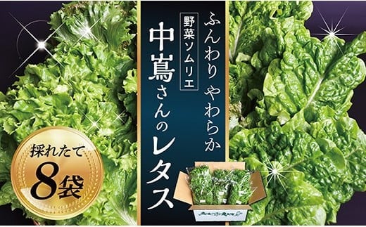 BU野菜ソムリエ中嶌さんのレタスセット