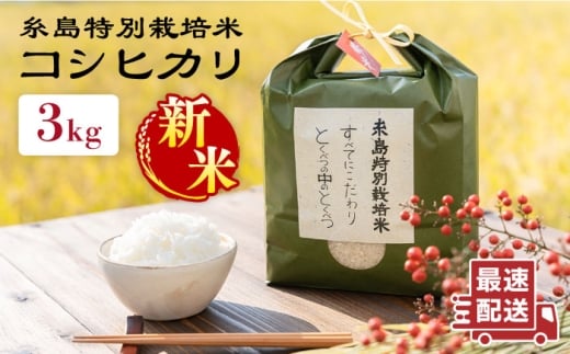 【令和7年産新米】とくべつの中の とくべつ 糸島 特別栽培米 3kg （ コシヒカリ ）《 糸島 》【株式会社やました】 [ARJ001] 408163 - 福岡県糸島市