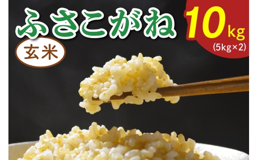 令和7年度産 ふさこがね《玄米》10kg (5kg×2)｜米 おこめ もっちり 弁当 袖ケ浦 千葉 [0519]