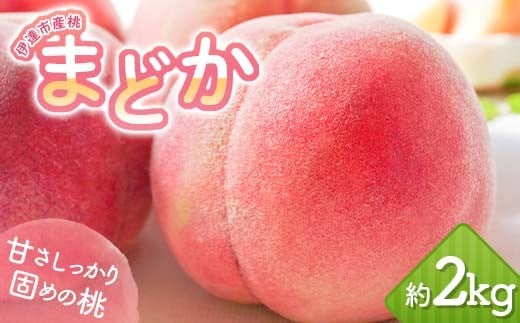 [2026年出荷分先行予約]福島県産 まどか 約2kg (5〜7玉) 岡崎ファーム 大玉 固め 伊達の桃 桃 フルーツ 果物 もも モモ momo F20C-644