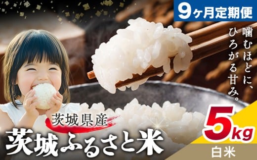 米 茨城 ふるさと米 白米 5kg 5kg×1袋 9回お届け 定期便《お申し込み月の翌々月から出荷開始》茨城県 結城市 米 国産 お米 おこめ お弁当 おにぎり【茨城県共通返礼品】 2301229 - 茨城県結城市