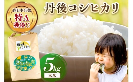 直売所直送「令和7年産　京丹後市産　コシヒカリ」　玄米5kg　JA00070
