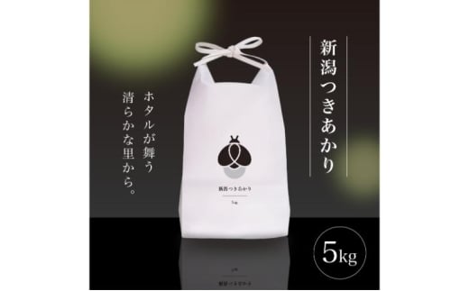 【ふるさと納税】新米 令和7年産 5kg 5キロ 新潟県 上越市産 つきあかり おおしま育ち 精米 お米 お取り寄せ 11月上旬より出荷開始